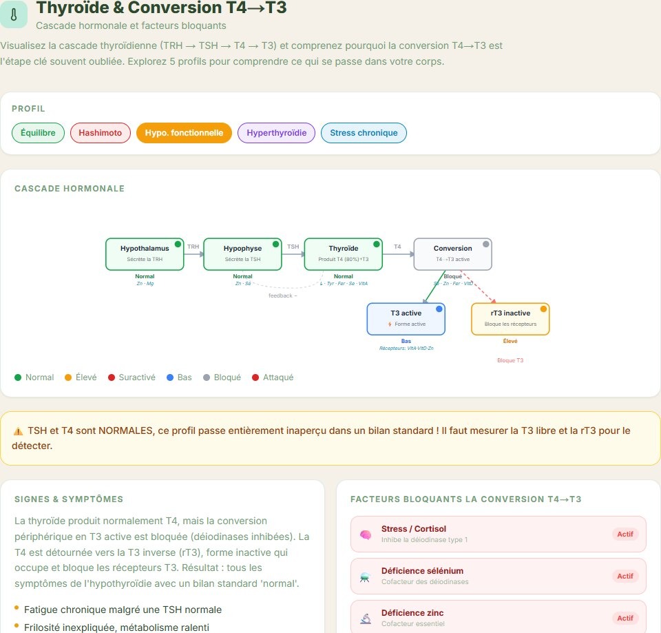 Thyroïde & T4→T3